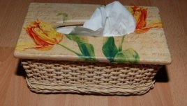 obal-na-kapesniky-z-pedigu